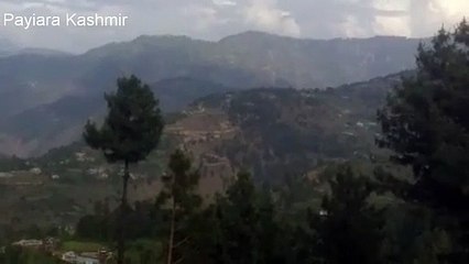 Coll coll view