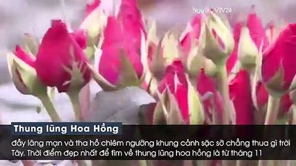 Đặt chân tới SaPa tháng 11 thì đi đâu săn ảnh cho chất mà lại đẹp long lanh khó chối từ?