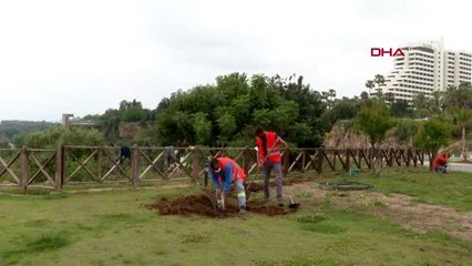 Download Video: ANTALYA Konyaaltı Sahili, yaz sezonuna hazırlanıyor