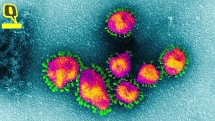 COVID-19 से निपटने के लिए जरूरी है Virus के Viral load और Infectious Dose को समझना