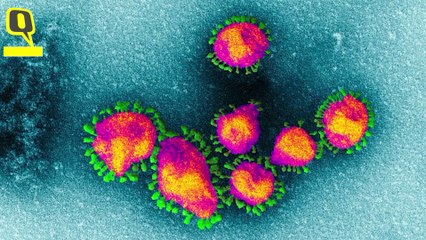 COVID-19 से निपटने के लिए जरूरी है Virus के Viral load और Infectious Dose को समझना