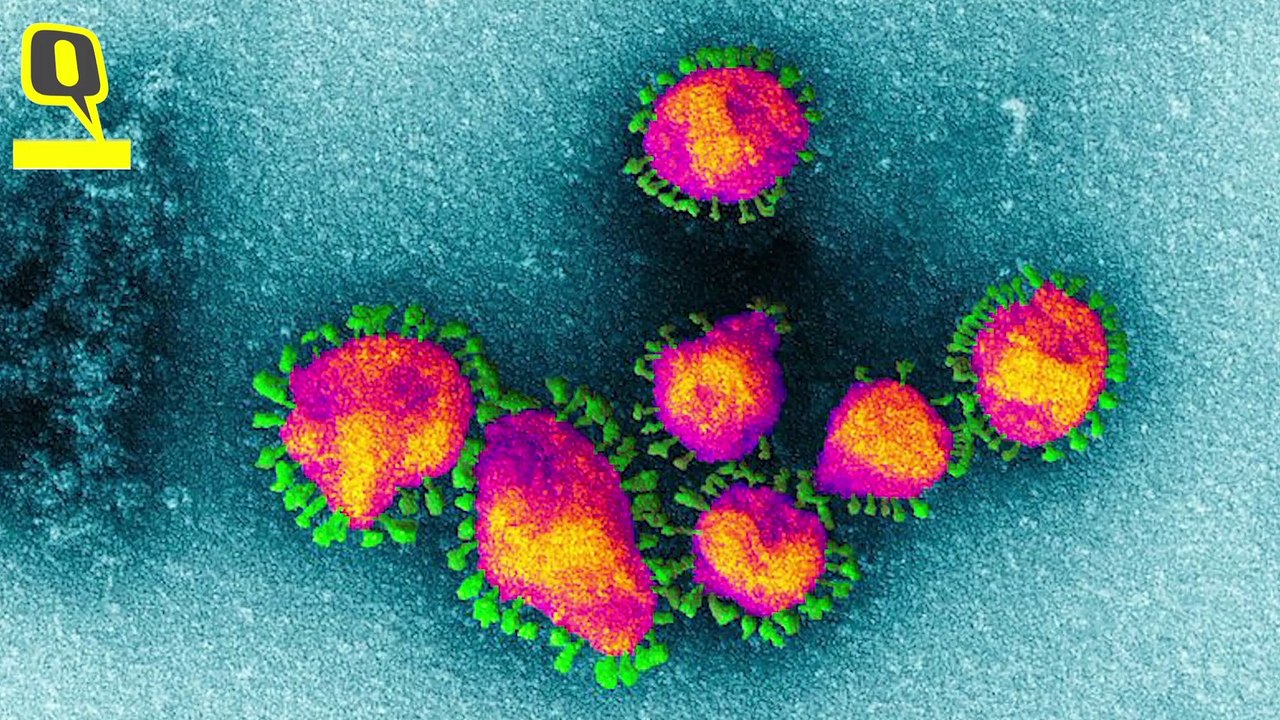 COVID-19 से निपटने के लिए जरूरी है Virus के Viral load और Infectious Dose को समझना