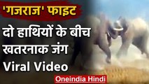 Viral Video:जब दो हाथियों के बीच हुई भयंकर लड़ाई फिर हुआ ये देखें Fight का पूरा Video|वनइंडिया हिंदी