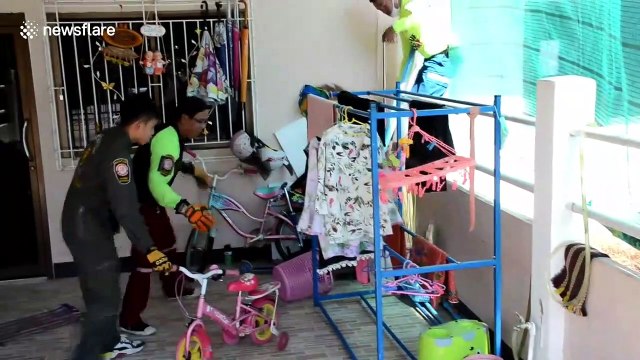 Wild monitor lizard leads reptile catchers on a chase after raiding family's home in Thailand