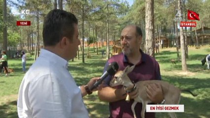En İyisi Gezmek - İstanbul - 10 Ağustos 2019