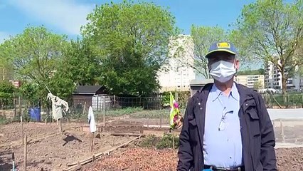 Coronavirus: les jardins familiaux, une respiration en temps de confinement
