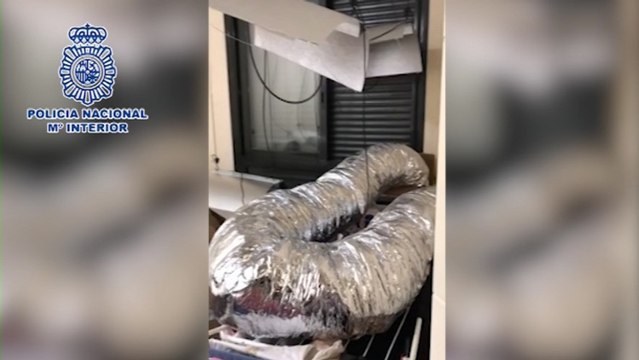 Intoxicada una niña de 18 meses por el amoniaco que usó su madre