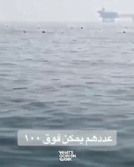 WhatsApp Video 2020-05-02 at 8.05.45 PM