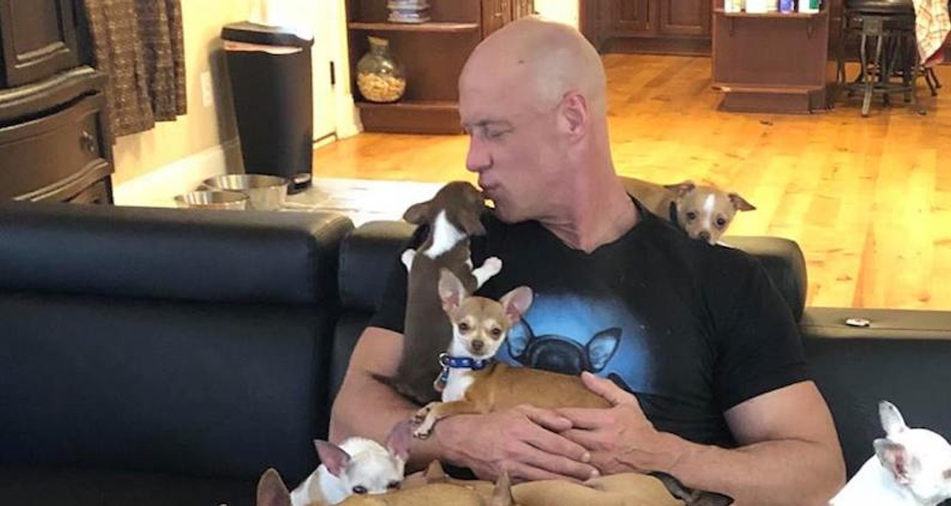 Cet homme a recueilli des dizaines de chihuahuas chez lui