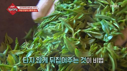 야생 녹차가 차로 변신하는 과정