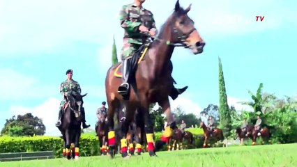 Detasemen Kavaleri Berkuda, Kuda Tempur Angkatan Darat - CERITA MILITER (Bag2)