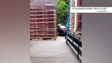 Have you heard of Search Fresh?