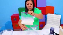 Ryan Leans how to Make Homemade Ice Cream In a bag science experiment!(