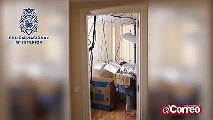 Intoxicada una bebé por amoniaco debido a una plantación de marihuana