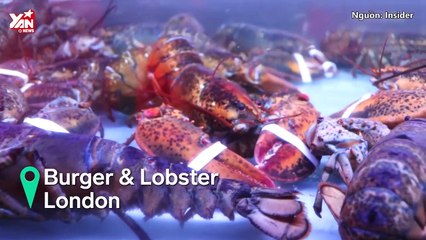 Food Porn: Sửng sốt với món burger tôm trị giá hơn triệu đồng