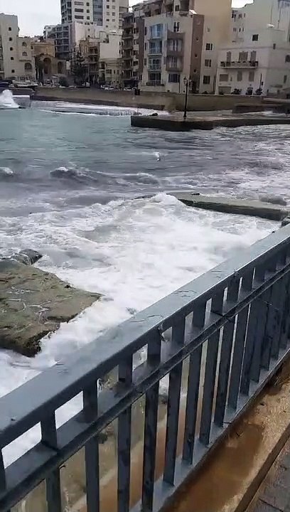 Un thon projeté dans les rochers en pleine tempête
