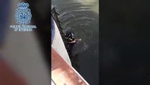 Un ciudadano y una policía salvan a un perro tras caer desde el puente de Los Remedios