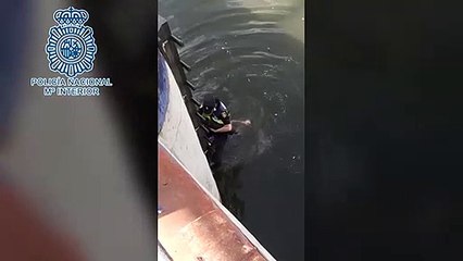 Un ciudadano y una policía salvan a un perro tras caer desde el puente de Los Remedios