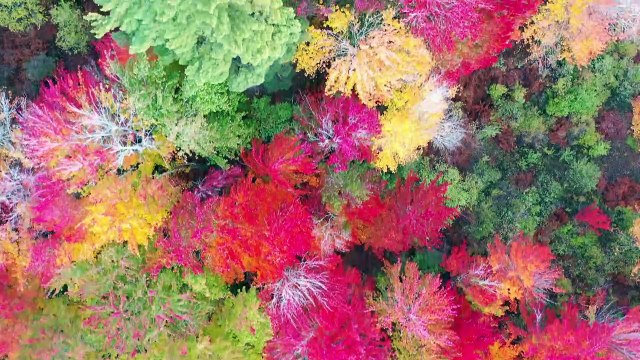 New FREE BOOK Shows 20+ Virtually UNKNOWN Secrets To Get Tons Of Traffic To *Any* Website or Funnel... Need more traffic to your website or funnel?