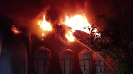 수천 마리 사육 제주 양돈장서 화재 / YTN