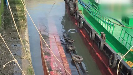 대산항에서 급수선 침몰...기름 유출 대비해 오일펜스 설치 / YTN