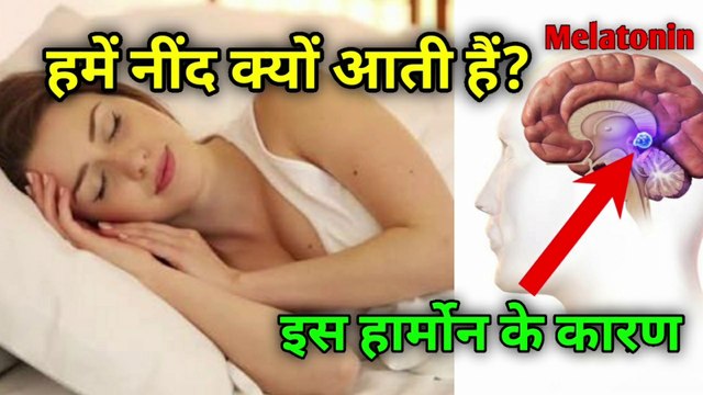 नींद क्यों आती है | Why we sleep | melatonin hormone | melatonin | sleeping | the science news hindi