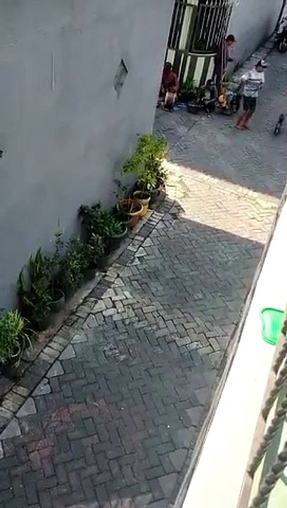 Monkey to kidnap toddler