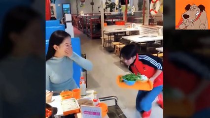 New Funny Videos 2020 People doing stupid things show video