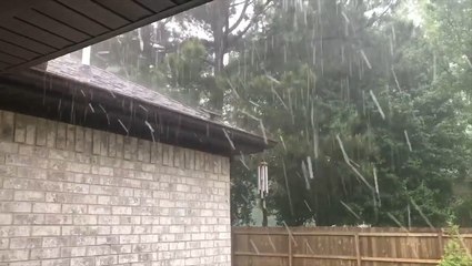 Army of golfers, or hail?