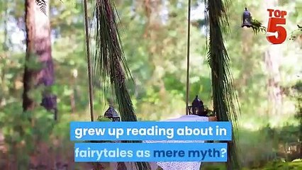 Top 5 Bizarre Modern Paranormal Phenomena