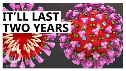 Coronavirus pandemic could last up to two years: study