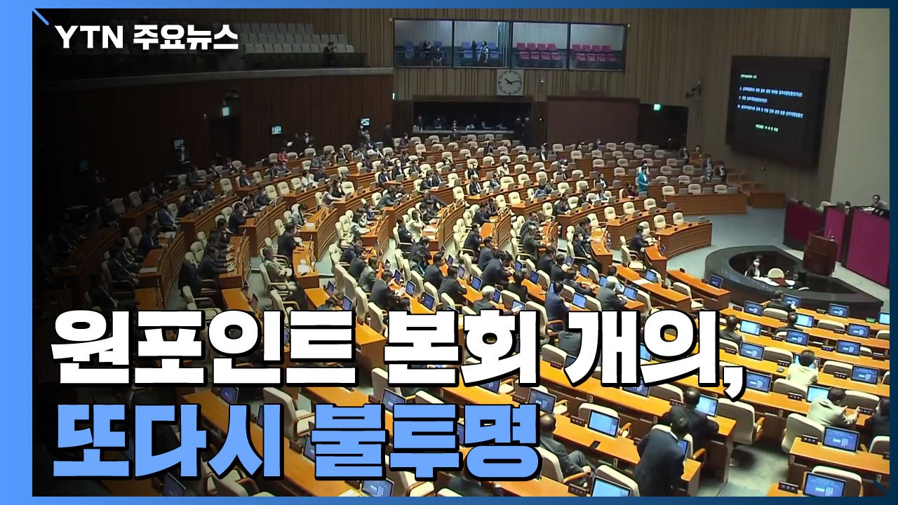 '국민개헌' 원포인트 본회의 '불투명' / YTN