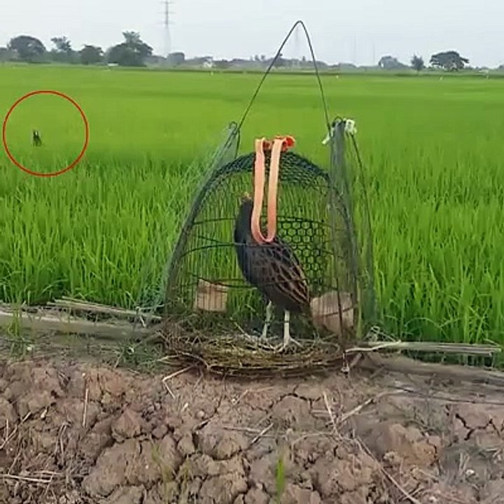 Bu avı yapan insan olamaz