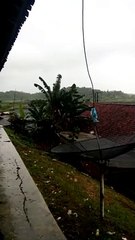 Tambak Udang Vaname Sindangbarang Cianjur