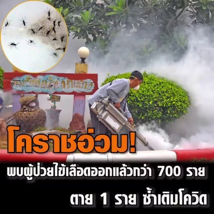 โคราชอ่วมพบผู้ป่วยไข้เลือดออกแล้วกว่า 700 ราย ต...
