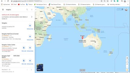 ANIMAL DE 46 METROS ¡¡EL ANIMAL MAS LARGO DEL MUNDO!!