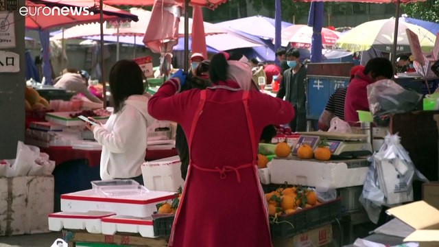 Коронавирус: дело рук природы или человека?