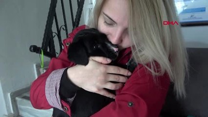 Ampute yavru köpeğin tedavi masraflarını karşılayıp, sahiplendi