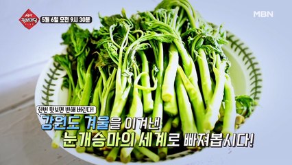 생생 정보마당 [625회] - 실속 있는 수요일