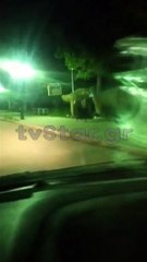 Αγριογούρουνο στα Καμένα Βούρλα