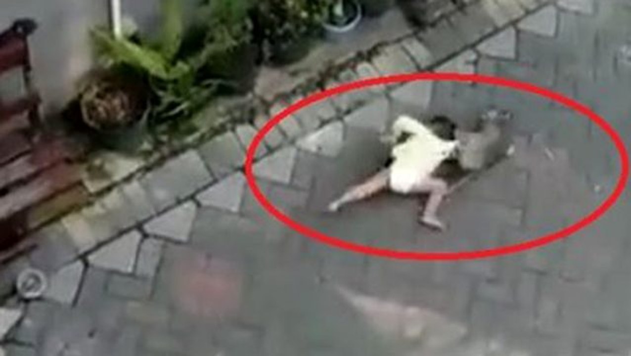 Bisikletli maymunun çocuk kaçırma girişiminin görüntüleri şaşkınlık yarattı  - Dailymotion Video