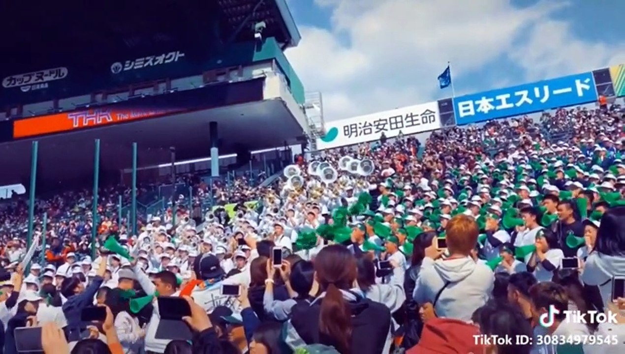 japanese baseball high school tik tok koshien sports