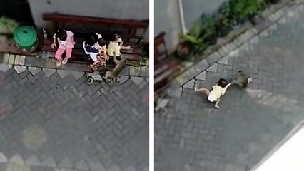 Un singe tente de kidnapper un enfant en plein milieu de la rue