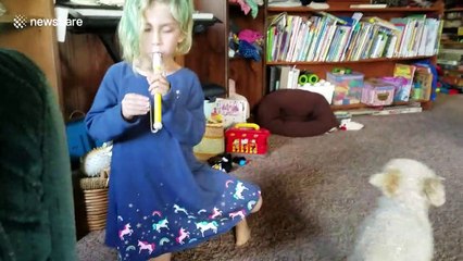 Rescue dog's howls harmonise with five-year-old playing slide whistle