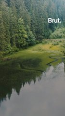 Lake Synevyr, one of Ukraine's most beautiful lakes