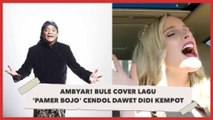 Ambyar! Bule Cover Lagu 'Pamer Bojo' Cendol Dawet Didi Kempot