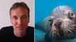 Photographie sous-marine : mes 5 plus belles photos | Le Speech du photographe Greg Lecoeur
