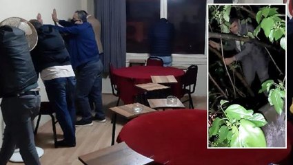 Kumar baskınında yakalanmamak isteyen şahıs, ağaca çıktı