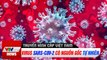 Virus Sars-Cov-2 có nguồn gốc tự nhiên  Tin tức dịch bệnh corona thế giới ngày 4/5