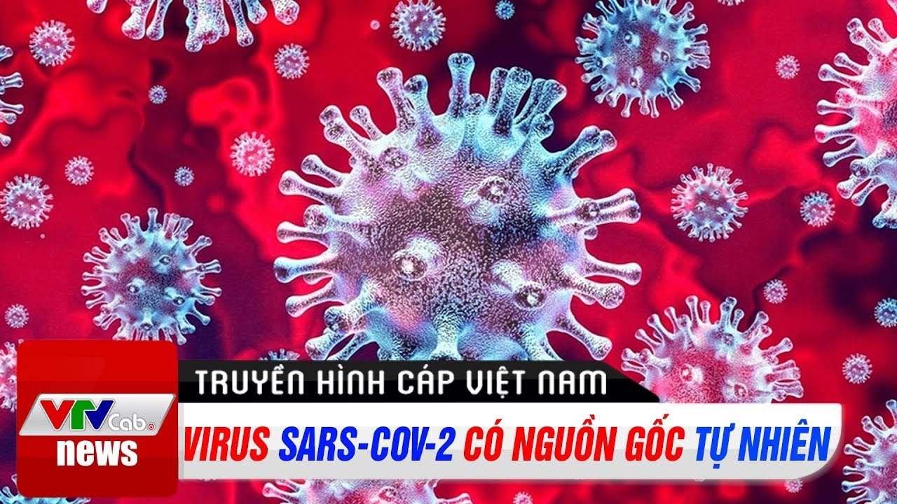 Virus Sars-Cov-2 có nguồn gốc tự nhiên  Tin tức dịch bệnh corona thế giới ngày 4/5
